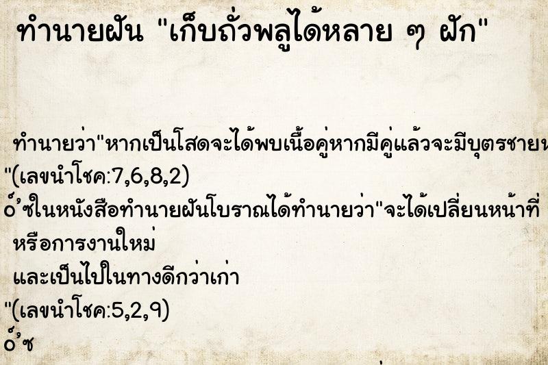 ทำนายฝันทำนายฝันเก็บถั่วพลูได้หลายๆฝัก